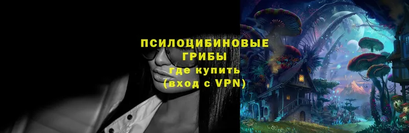 Псилоцибиновые грибы MAGIC MUSHROOMS  Коммунар 